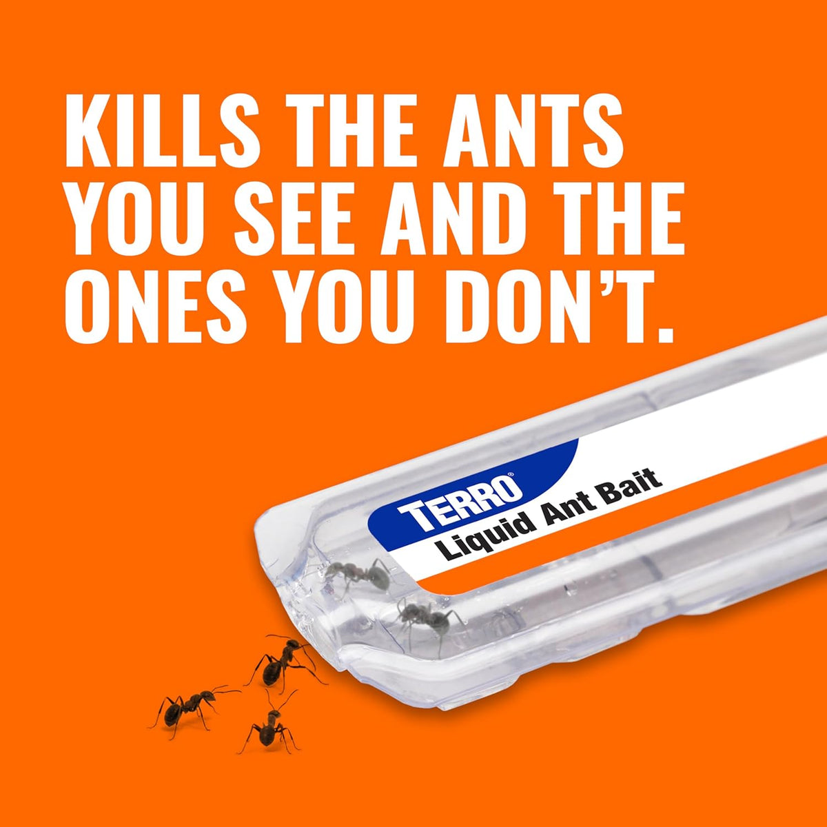 TERRO Liquid Ant Killer Bait Stations, 12-Pack, Indoor Ant Traps, T300B